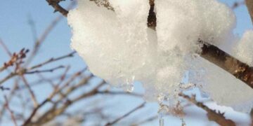 Прогноз погоди у Києві на 17 лютого: холодний, але без опадів день