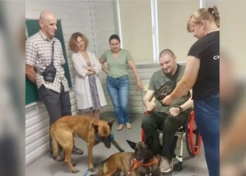 Позитивні емоції і собаки. Вчені Інституту геронтології з’ясували, що допомагає протистояти старінню під час війни