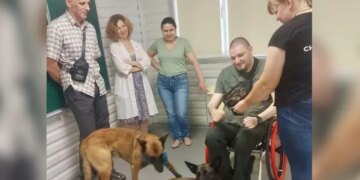 Позитивні емоції і собаки. Вчені Інституту геронтології з’ясували, що допомагає протистояти старінню під час війни