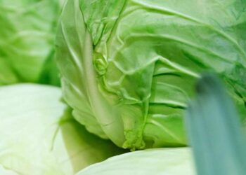 У Києві відкриють продуктові ярмарки у всіх районах: список локацій