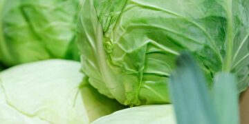 У Києві відкриють продуктові ярмарки у всіх районах: список локацій