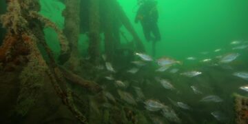 Вчені знайшли цвинтар кораблів біля берегів стародавньої Греції