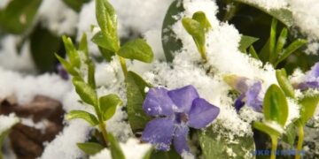 В Україні у середу подекуди дощ і мокрий сніг, вдень до +15°