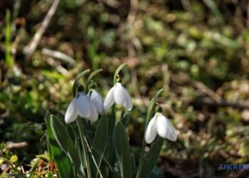 Завтра в Україні без опадів, температура місцями до +15°