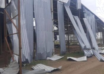 На Одещині російські війська атакували фермерське господарство