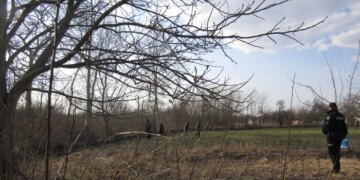 На Київщині літній чоловік загинув, спалюючи суху траву