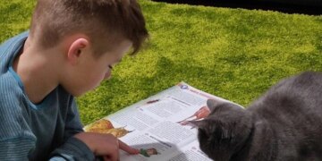 Українські школи запроваджують уроки про гуманне ставлення до тварин