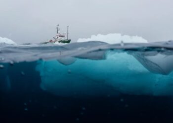 Вчені зафіксували рідкісний позитивний тренд у льодах Антарктиди