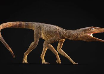 Вчені описали раніше невідомий вид стародавнього крокодиломорфу