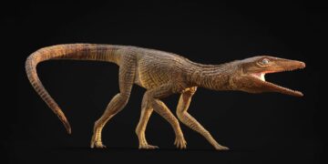 Вчені описали раніше невідомий вид стародавнього крокодиломорфу