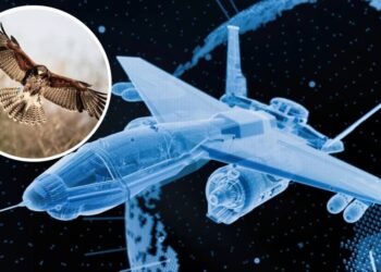 Яструби надихнули вчених на новий підхід до керування реактивними літаками та БПЛА