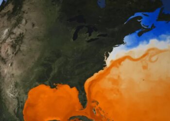 Вчені виявили, що Гольфстрім почав зміщуватися на північ