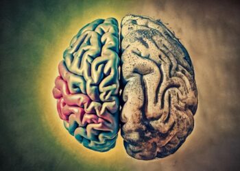 Розкрито процес уповільнення старіння мозку за допомогою фізичних вправ