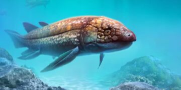 Світ втрачає мігруючих прісноводних риб: тривожні висновки ООН