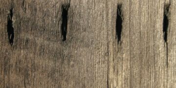 Вчені, можливо, виявили найдавнішу форму писемності в історії