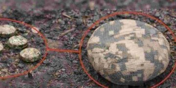 Нові міни "Пряник" у Херсоні – як росія готується вкривати міста України вибухівками