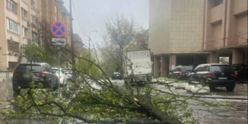 Негода накрила Київ та область: у соцмережах повідомляють про повалений 150-річний каштан та пошкоджений дах