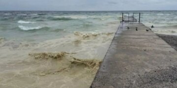 Забруднення Чорного моря олією – еколог пояснив наслідки удару рф по портовій інфраструктурі