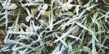 Арктичний Rapunzel та шторм: Україну накриває різке похолодання