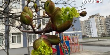 В Україні місцями дощитиме: прогноз погоди на 21 квітня 2026