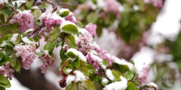 Квітневі “мінуси”: у Києві оголосили жовтий рівень небезпеки