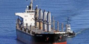 До Ізраїлю прибуло ще одне судно з краденим українським зерном