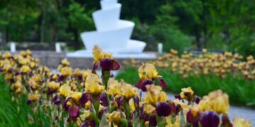 В Україні у середу дощитиме, вдень прогріє до +14°