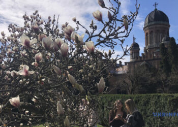 У неділю в Україні переважно без опадів, удень до +14°