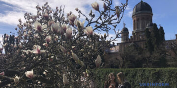 У неділю в Україні переважно без опадів, удень до +14°