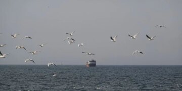 ООН: Закриття Ормузької протоки спричинило різке падіння темпів світової торгівлі