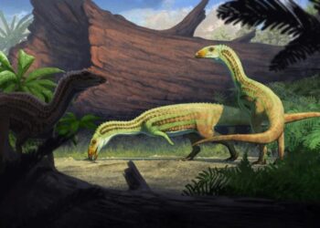 Вчені виявили родича крокодила, який ходив на двох ногах