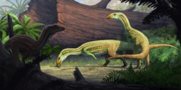 Вчені виявили родича крокодила, який ходив на двох ногах