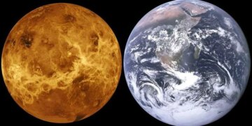 Вчені припускають: можливе життя на Венері має земне походження