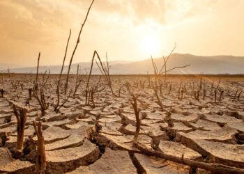 Прогнозується, що сезон Ель-Ніньйо розпочнеться вже наступного місяця