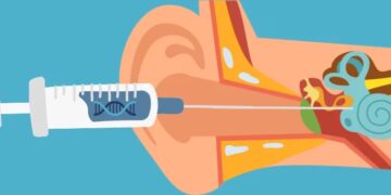 Лікарі відновили слух завдяки новій генній терапії