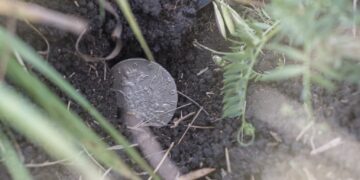 Вчені знайшли 440-річну монету, яка вказала на місце зниклої колонії