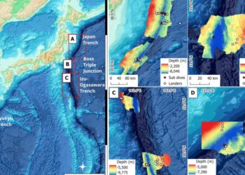 Вчені зафіксували невідомі організми в японських жолобах