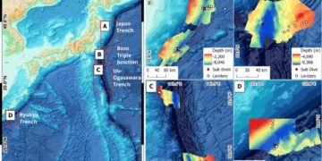 Вчені зафіксували невідомі організми в японських жолобах