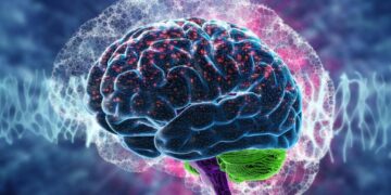 Вчені відкрили невидиму систему відведення рідини в мозку