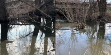 Річка Буча на межі екологічної катастрофи: на Київщині заявили про критичне забруднення