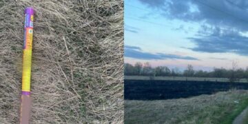 Гучна “розвага” з наслідками: на Київщині затримали хулігана