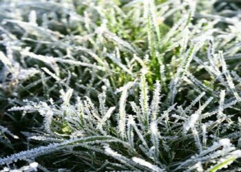 Заморозки повертаються: Київщину накриє різке похолодання