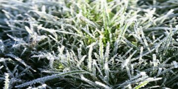 Заморозки повертаються: Київщину накриє різке похолодання