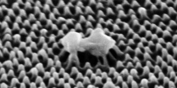 Вчені створили пластикову плівку, яка буквально розриває віруси