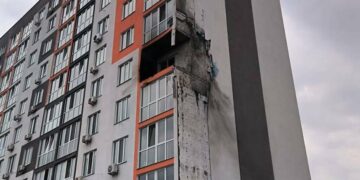 Руйнівні удари ворога: на Київщині загинули десятки тварин через обстріли