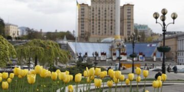 У Києві розквітли перші тюльпани: де шукати найкрасивіші локації, – ФОТО