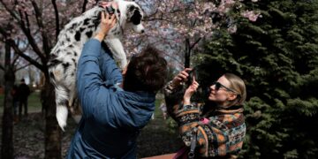 Погода суттєво не зміниться, але трохи потеплішає: прогноз в Україні на тиждень (карти)