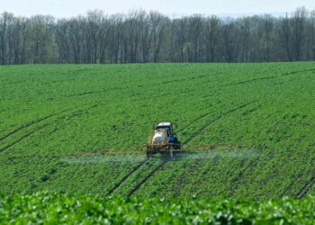 Війна в Ірані вдарила по аграріях в Україні: фермери скорочують посіви