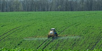 Війна в Ірані вдарила по аграріях в Україні: фермери скорочують посіви