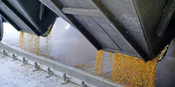 Тисячі тон зерна “сплили” в Ірані й Єгипті: НАБУ викрило масштабну корупційну схему